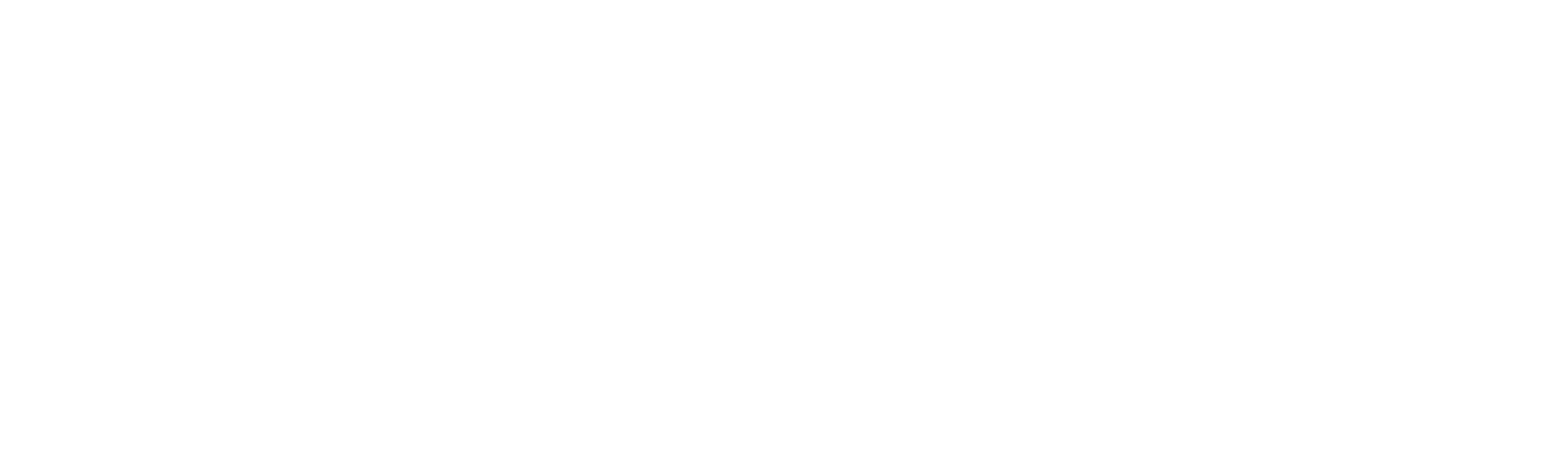 科大讯飞 iFLYTEK